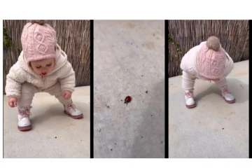 பூச்சிக்கு ‘Hi’ சொன்ன குழந்தை- வைரலாகும் க்யூட் வீடியோ