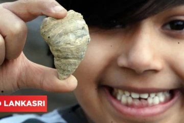 டைனோசர்களை விரும்பும் சிறுவன்... தோட்டத்தில் கண்டுபிடித்த 400 மில்லியன் ஆண்டுகள் பழமையான பொருள்