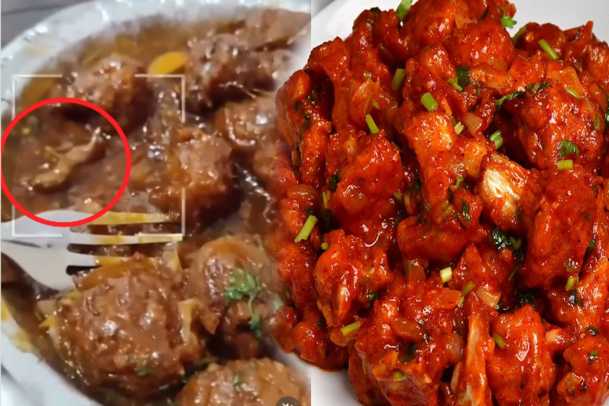 மஞ்சூரியன் தட்டில் எலி; வாடிக்கையாளர் ஷாக்! | Rat In Gobi Manchurian Dish Gujarat Food Outlet