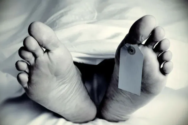 குளவிக் கொட்டுக்கு இலக்காகி 3 பிள்ளைகளின் தந்தை பலி | Father Of 3 Dies After Being Stung By A Wasp குளவிக் கொட்டுக்கு இலக்காகி 3 பிள்ளைகளின் தந்தை பலி | Father Of 3 Dies After Being Stung By A Wasp