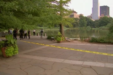 பூங்காவில் ஜாக்கிங் சென்றபோது தடுக்கி விழுந்த நபர்! நியூயோர்க் பொலிசுக்கு காத்திருந்த அதிர்ச்சி!