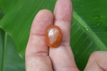 உலகில் மிகவும் அரிதான மாணிக்கக் கல் கண்டுபிடிப்பு!