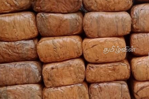 யாழ்ப்பாணத்தில் பெருந்தொகையான கேரள கஞ்சா மீட்பு | Large Quantity Of Kerala Cannabis Seized In Jaffna