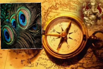 வீட்டில் இருக்கும் எதிர்மறையான ஆற்றலை விரட்ட இந்த ஒரு பொருள் போதும்