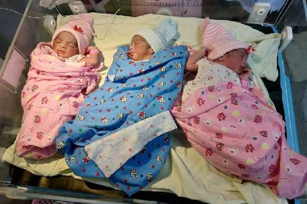 யாழில் ஒரே பிரசவத்தில் மூன்று பிள்ளைகள் (படங்கள்) | Three Children In A Delivery Jaffna Teaching Hospi