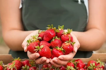 முதுமையை இலகுவாக்க உதவும் மூன்று பழங்கள்: அமெரிக்க ஆய்வில் தெரியவந்த உண்மை