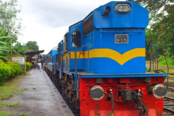 ටිකට් නැති කෝච්චි මගීන්ට දෙන දඬුවම් අලුත් වෙයි.