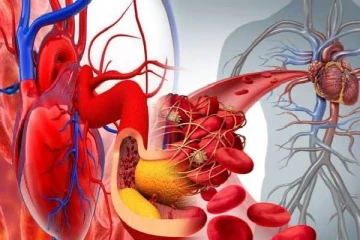 இந்த அறிகுறிகள் இருக்கா? அப்போ இரத்த குழாய் அடைப்பு அபாயம் உறுதி