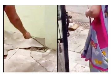 வீட்டுக்கு வந்த பாம்பை பத்திரமாக வழியனுப்பிய பெண் - வைரல் வீடியோ