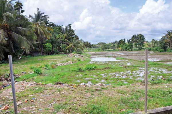 முத்துநகர் காணிப் பிரச்சினை தொடர்பில் வெளியான தகவல் | Trincomalee People Land Issue Arun Hemachandra