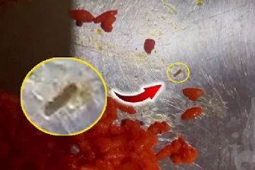 யாழ்.நகரில் உள்ள உணவகத்தில் விற்கப்பட்ட உணவில் புழுக்கள்(Video)