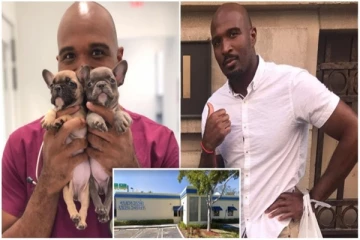 நாய்களுக்கு பாலியல் சித்திரவதை கொடுத்து படம்பிடித்துவந்த மருத்துவர் கைது! சிறுவர் ஆபாச படங்களையும் பகிர்ந்ததால் வழக்கு