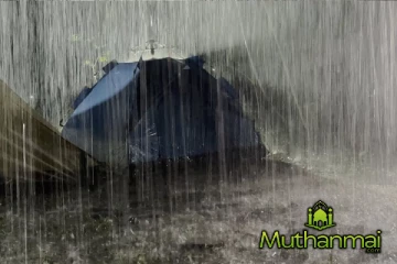 கொட்டித் தீர்க்கப்போகும் மழை : விடுக்கப்பட்ட எச்சரிக்கை