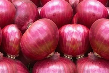மேலும் குறையும் வெங்காயத்தின் விலை