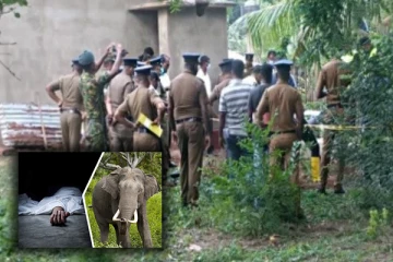 ஓய்வுபெற்ற இராணுவச் சிப்பாய் யானை தாக்கி பரிதாப உயிரிழப்பு