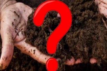 சேதன உரம் குறித்த சீனாவின் கருத்து நிராகரிப்பு