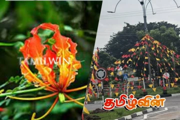 சிவப்பு மஞ்சள் கொடிகளால் எழுச்சி கொண்டுள்ள முல்லைத்தீவு நகரம்!