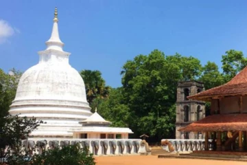 ரஜமஹா விகாரையில் கைவரிசையை காட்டிய திருடர்கள்!