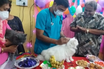 கர்ப்பிணியாக இருக்கும் பூனைக்கு வளைகாப்பு! கொண்டாட்டத்தில் குடும்பத்தினர்