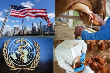 கறந்த பாலில் பறவைக் காய்ச்சல் வைரஸ் : விடுக்கப்பட்டுள்ள எச்சரிக்கை!