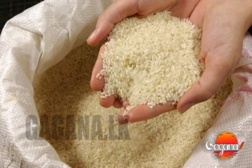 කන්න හාල් නැද්ද රටේ? කෘෂිකර්ම ඇමතිගෙන් පිළිතුරු