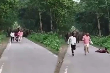 யானை கூட்டத்துடன் செல்ஃபி.... மரண பயத்தை கண்முன் நிறுத்திய யானையின் பகீர் காட்சி