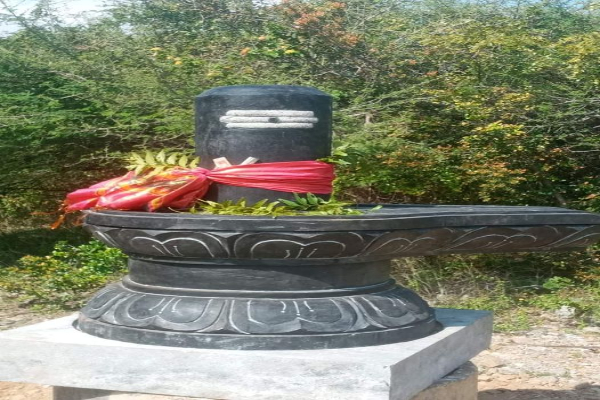 யாழில் திடீரென பிரதிஷ்டையாகியுள்ள சிவலிங்கம்..!(படங்கள்) | Today Is Shivratri Puja In Jaffna