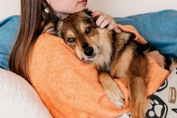 நாய்களால் தொல்லை; மனைவியிடம் விவாகரத்து கோரிய கணவர்