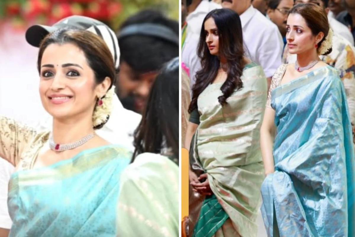 சர்ச்சைகளுக்கு மத்தியில் காதலை உறுதிப்படுத்திய த்ரிஷா! அவரே வெளியிட்ட பதிவு வைரல் | Trisha Post About Love In Cm Oath Ceremony Look