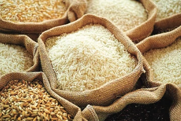 போலி ஆவணங்கள் தயாரித்து நெல் திருட்டு; இடைநிறுத்தப்பட்ட நெல் களஞ்சியசாலை காப்பாளர்கள்