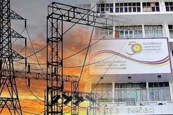 மின்சார சபை மறுசீரமைப்பு; உச்ச பயன் நாட்டு மக்களுக்கு | Electricity Board Restructuring Srilanka