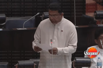 දිට්වා ගැන සොයන්න පාර්ලිමේන්තු විශේෂ කාරක සභාව පත්කරන්නයි විපක්ෂයෙන් යෝජනාවක්