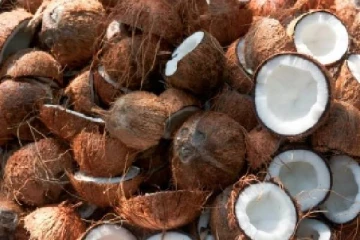 தேங்காய் விலையின் மாற்றம் குறித்து வெளியான அறிவிப்பு