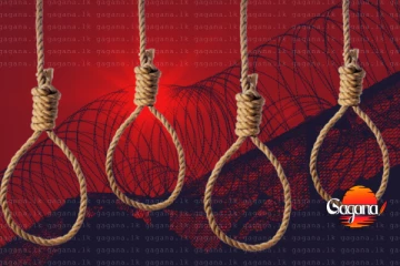 පුද්ගලයින් 817කට මරණීය දණ්ඩනය - බන්ධනාගාරයෙන් වාර්තාවක් එළියට