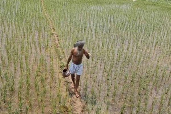 அரச நிறுவனங்கள் ஊடாக ராஜபக்ச குடும்பத்துக்கு இன்றும் வருமானங்கள் செல்கின்றன: சார்ள்ஸ் நிர்மலநாதன் | Rajapaksas Sri Lanka Today Parliament அரச நிறுவனங்கள் ஊடாக ராஜபக்ச குடும்பத்துக்கு இன்றும் வருமானங்கள் செல்கின்றன: சார்ள்ஸ் நிர்மலநாதன் | Rajapaksas Sri Lanka Today Parliament