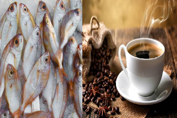 வாழ்நாள் முழுக்க கல்லீரலை காப்பாற்ற வேண்டுமா? இந்த மீனையும் சாப்பிடுங்க | Foods And Fish That Protect The Liver