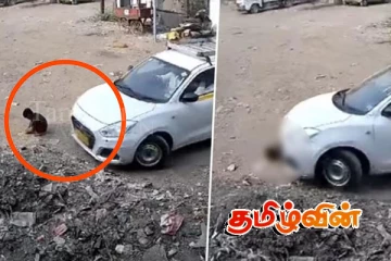 வியக்கத்தக்க வகையில் உயிர் பிழைத்த சிறுவன்: அதிகம் பகிரப்படும் காணொளி