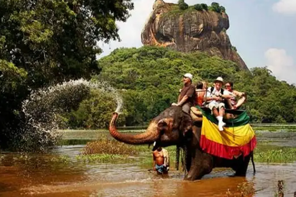 ஜூன் மாதத்தில் நாட்டில் குவிந்த சுற்றுலாப் பயணிகள்! | Tourists Gathered In The Country In June