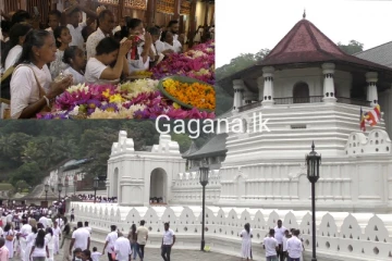 අද මහනුවර ශ්‍රී දළදා මාලිගාවට විශාල පිරිසක්.(PHOTOS)