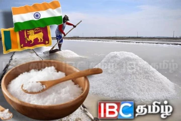 இன்று நாட்டை வந்தடைந்த ஒரு தொகுதி உப்பு