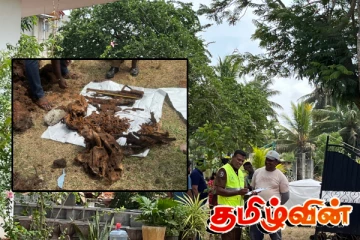 வவுனியாவில் தனியார் காணி ஒன்றில் துப்பாக்கிகள் மீட்பு!