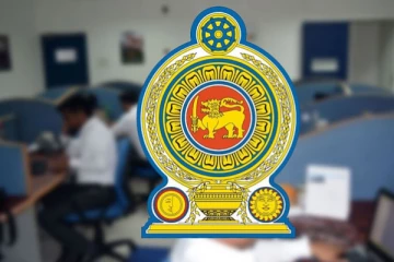 அரச, அரை-அரச துறைகளில் பணியாற்றும் ஊழியர்கள் தொடர்பில் வெளியான தகவல்