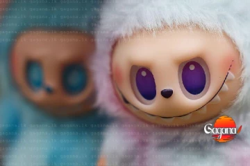 ලබුබූ ගත්තද? පිස්සු වට්ටපු ලබුබු ගැන තිත්ත ඇත්තක් එළියට