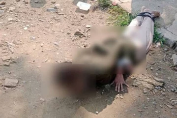 பாலியல் வன்கொடுமை; கை, கால் கட்டப்பட்டு சாலையில் கிடந்த பெண் - பதபதைக்கும் சம்பவம்!