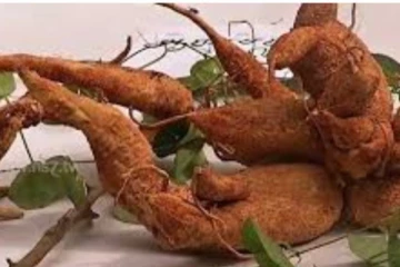 இதை உங்க வீட்டு வாசலில் மட்டும் வைங்க... எந்தவொரு தீய சக்தியும் நெருங்காதாம்