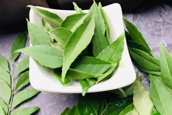 கறிவேப்பிலையை தூக்கி எறிபவரா நீங்க... இதை படிங்க! | Curry Leaves Many Benefits Life Sytle Hair Growth