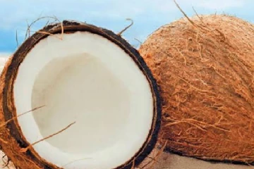 ஒரு வீட்டுக்கு ஒரு நாளைக்கு அரை தேங்காய் போதுமானது - கலாநிதி சாரங்க அலஹப்பெரும