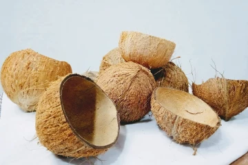 தினமும் தூக்கி எறியும் தேங்காய் சிரட்டையை இப்படி கூட பயன்படுத்தலாம்!