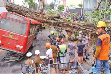 கொழும்பில் முறிந்து விழும் மரங்கள் : போக்குவரத்தில் பெரும் சிக்கல்