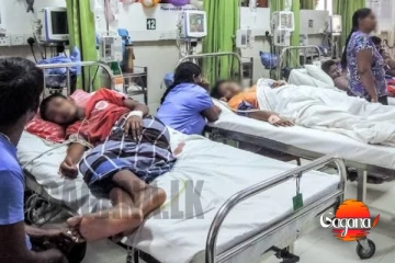 රෝගයක් උත්සන්න වේ මරණ 16ක්